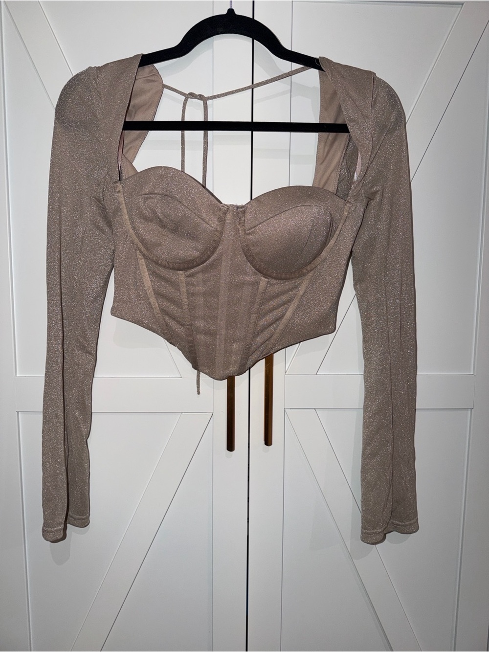 Fashion Nova Shimmer Corset Top